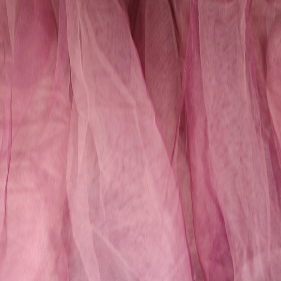 Weissman Dance Costume - Picture 13 of 16